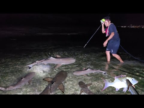 Hari ke 22 Detik-detik Bertemu Rombongan IKAN HIU & IKAN PARI 😱