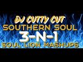 SOUTHERN SOUL / 3-N-1 / T.K.SOUL / MR JUICE / J RED THE NEPHEW / SOUL LION MASHUP /DJ CUTTY CUT.