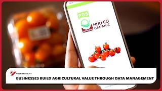Businesses build agricultural value through data management | Vietnam Today