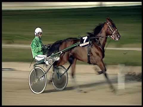 Trotto 27/06/2020 - 10ª corsa