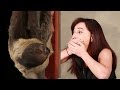 A Girl Obsessed With Sloths Gets Surprised With A Sloth