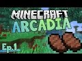 Joel's Island! | Minecraft Arcadia | Ep.1 