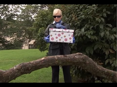 Salkkarit - Isabella yrittää hävittää Ritva-käärmeen (2010) (Isabella Holm, 186)