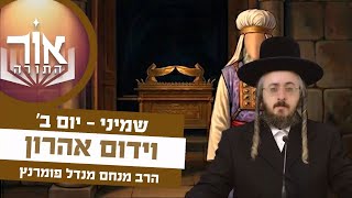 הרב מנחם מנדל פומרנץ | אור התורה - יום ב' פרשת שמיני • וידום אהרון •