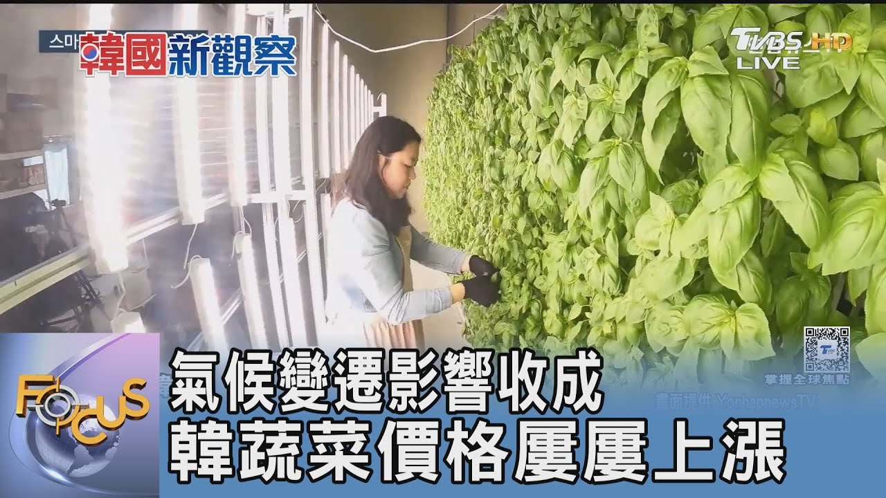 氣候變遷影響收成 韓蔬菜價格屢屢上漲