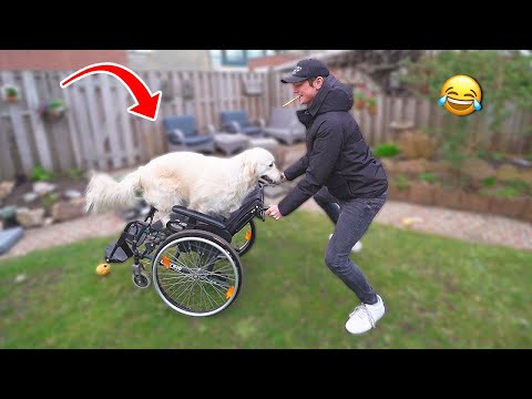 DIT KAN NOOIT GOED GAAN!