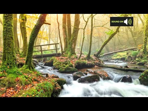 Sunday morning forecast 18/10/20