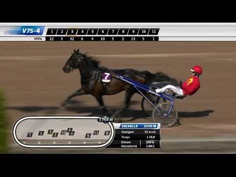 Elitlopp Meeting 2023 3 Yo Elite - Epsom AS