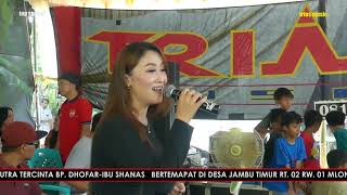Download lagu 13 asmara mp3