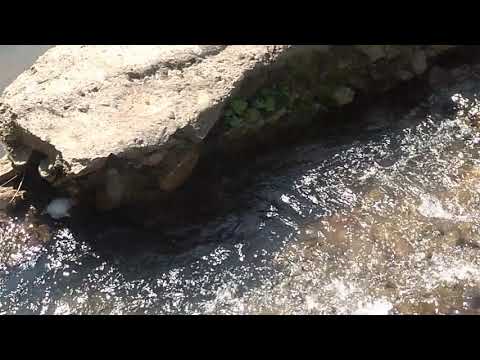 Izvorul Crișului Alb din satul Criș comuna Blajeni