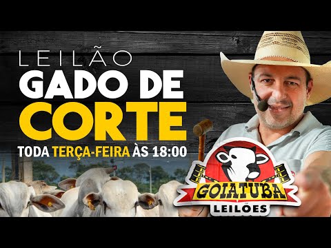 GOIATUBA LEILÕES - LEILÃO DE GADO EM GOIÁS -  TERÇA-FEIRA 18/08/2026