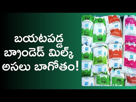which milk brand is good for health in india telugu