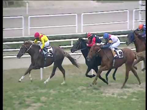 Galoppo 27/12/2017 - 3ª corsa