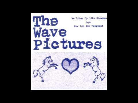 We Dress Up Like Snowmen - The Wave Pictures