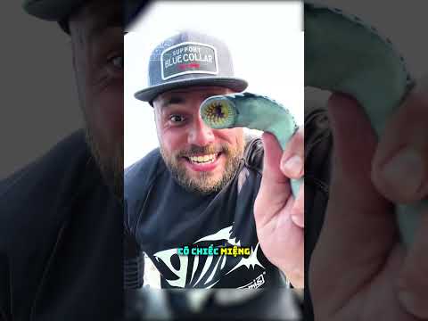 Nếu Bị Con Này Bám Vào Tay Thì Xử Lý Thế Nào