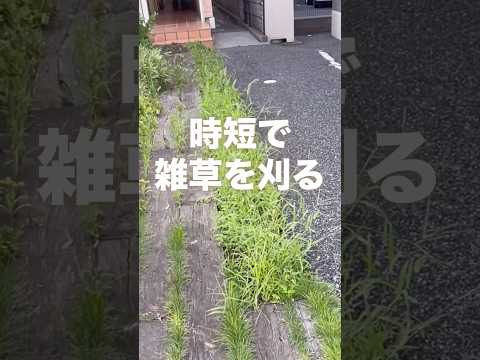 不要な園芸植物
