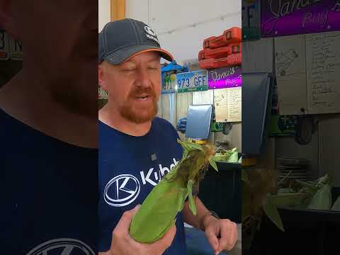 Freezing Corn the Easy Way!