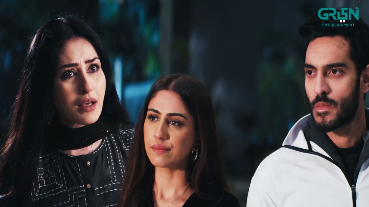 Kis Qadar Zehreeli Aurat Hein Aap | Pyaar Ka Punch | Naeema Butt & Saif Ali Khan | Green TV