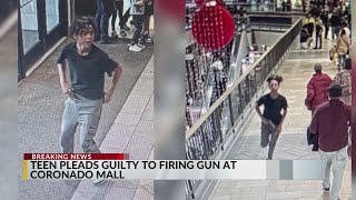 Teen pleads guilty to firing gun at Coronado Mall