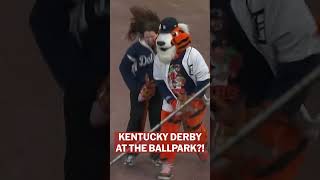 Kentucky Derby ft. Tigers mascot Paws ????????