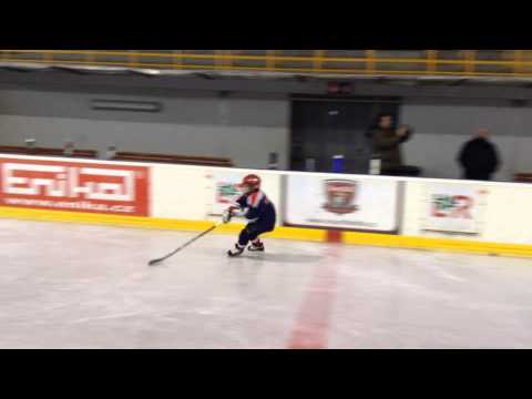 Czech Vikings & Goalie Service kemp v Nové Pace (5)