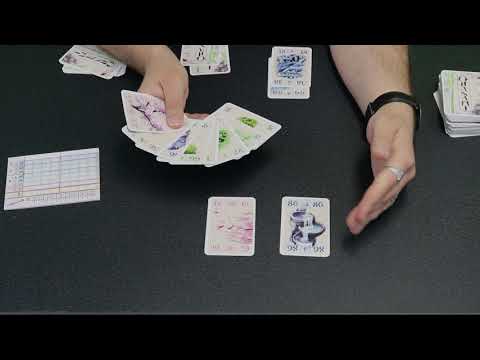 NSV SpieltTV -  Erklärvideo Ohanami