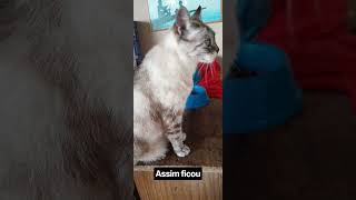 valeu muito a pena