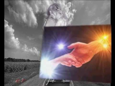 I SANTO CALIFORNIA  GABBIANO