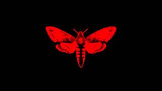 Lil Wayne Back To You