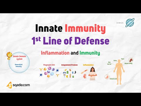 Inflammation and Immunity - Innate Immunity: 1st Line of Defense