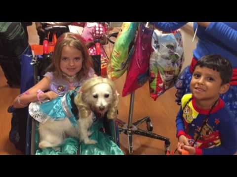 2016 St. Joseph's Children's Hospital Halloween Parade