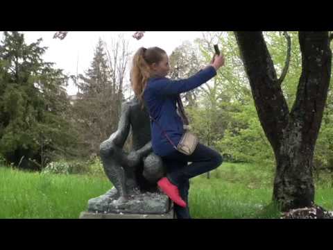 "Mystery Park" - ( aka Selfie from Hell 2 ) -  HORRORFILM