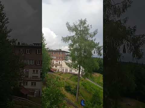 Der Schwarzwald heute Nachmittag.