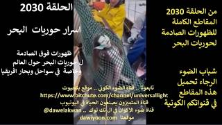 من الحلقة 2030 ..المقاطع الكاملة للظهورات الصادمة لحوريات البحر  حول العالم وخا