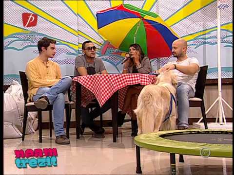 Sasha Lopez, Ale Blake și Broono la Neam Trezit