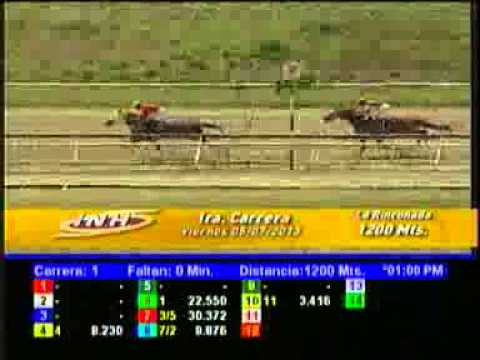 1ERA CARRERA VIERNES 5 JULIO LA RINCONADA AUDIOHIPISMO