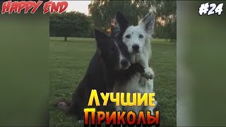 Видео Приколы 2018 | Смешные Видео Под Музыку #24