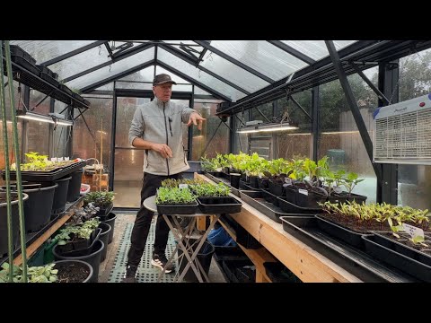 Feb Gardening: Seedlings, Early Potatoes, Compost Woes