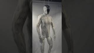 Clone Robotics Protoclone — Biomimetic Musculoskeletal Humanoid