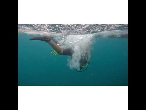 Scuba diving at Havelock island nemo beach #scubadiving #havelockisland #nemobeach #ramjisowji