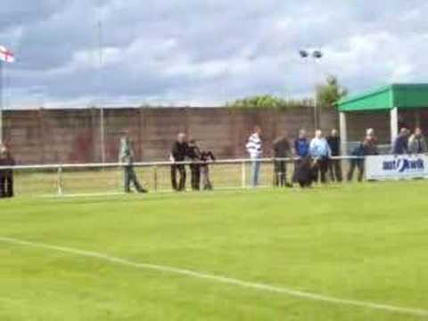 Ashford Town V Kingstonian