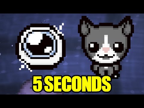 Guppy Transformation SPEEDRUN World Record