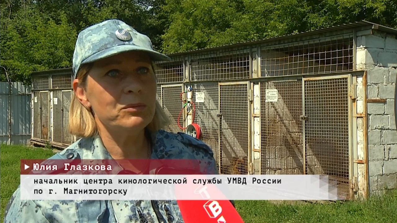 Время местное. Эфир: 22-06-2026 - Ко Дню кинологических подразделений МВД