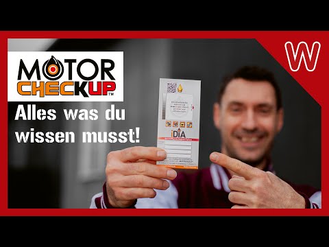 Idia Motor Check-Up: Alles was du wissen musst!