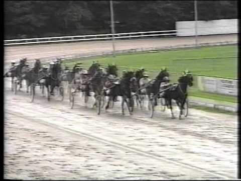 4,5 Kilometer van Alkmaar 1999