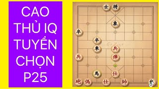 Cao thủ IQ tuyển chọn từ đại chiến giang hồ P25 #coziga #cotuong #cotuonglienminh3989