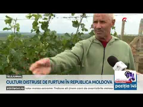 Culturi distruse de furtuni în Republica Moldova