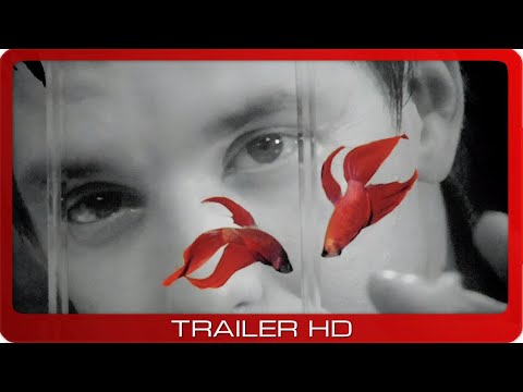 Trailer-Vorschau: Rumble Fish