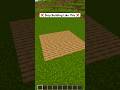 Better Floor In Your Minecraft House Shorts