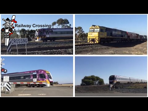 Railway Crossing Series | S1 Ep8 | A New Year of Crossing